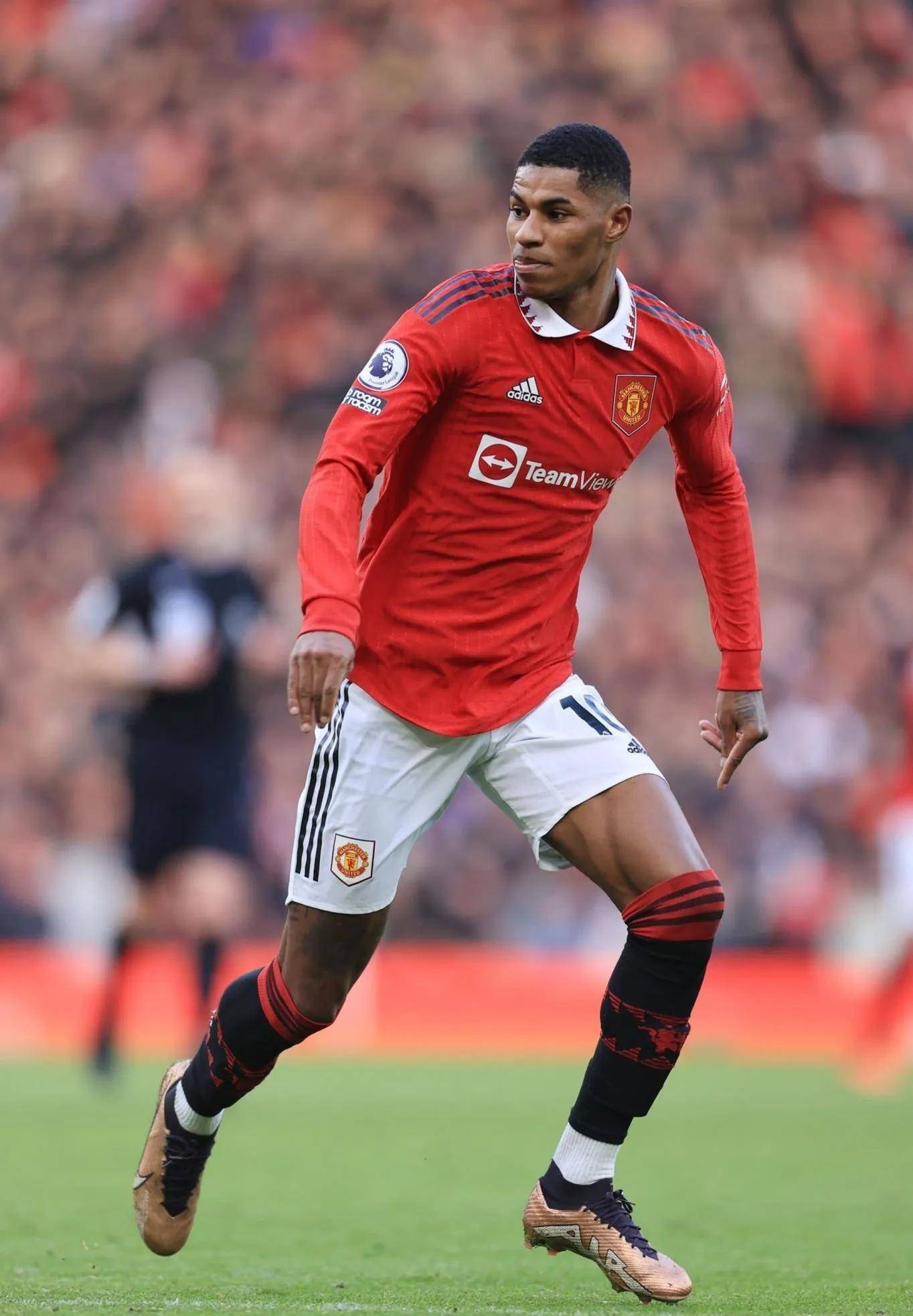 子准备礼物 子准备礼物